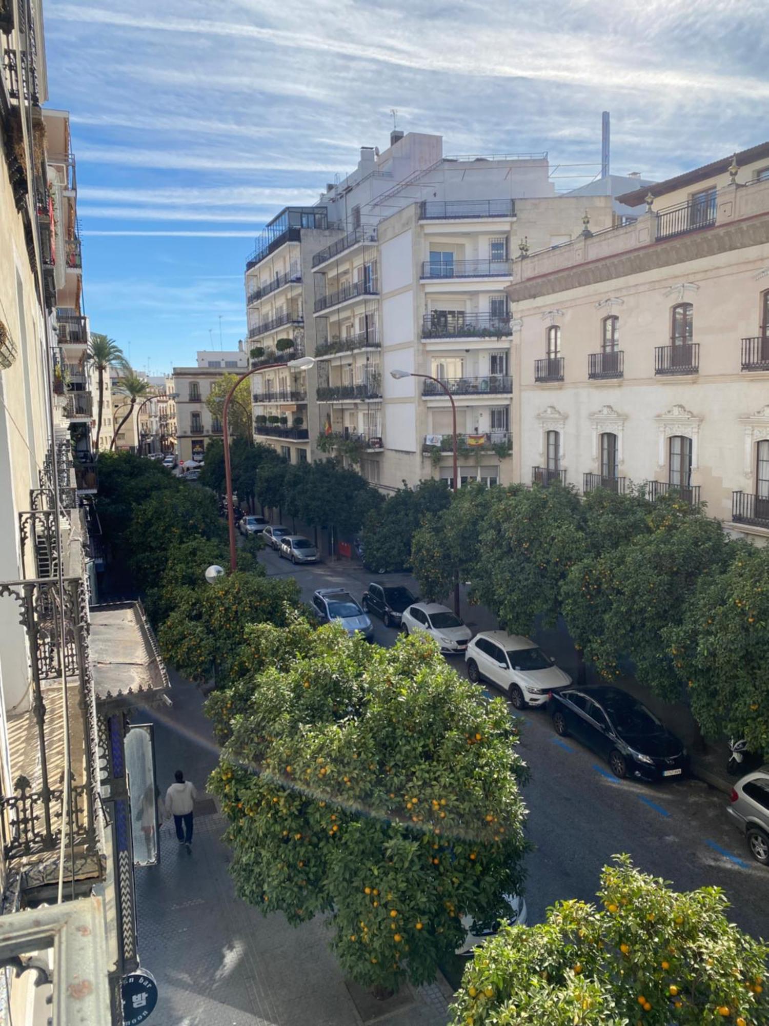 Centro Apartment Seville
